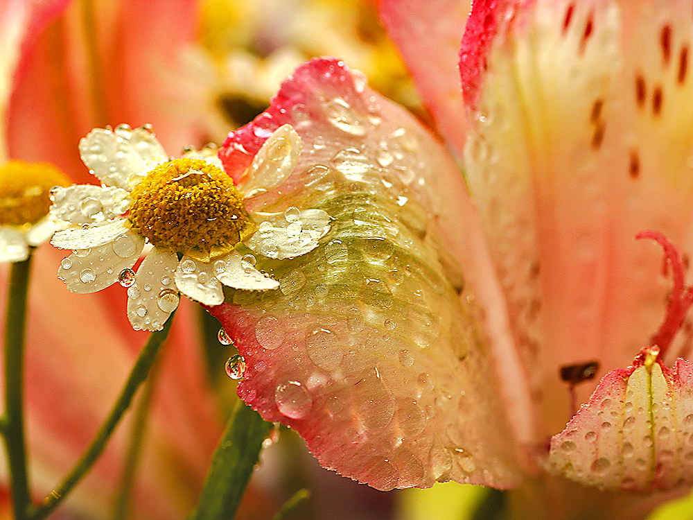zur &Uuml;bersicht Wassertropfen 5