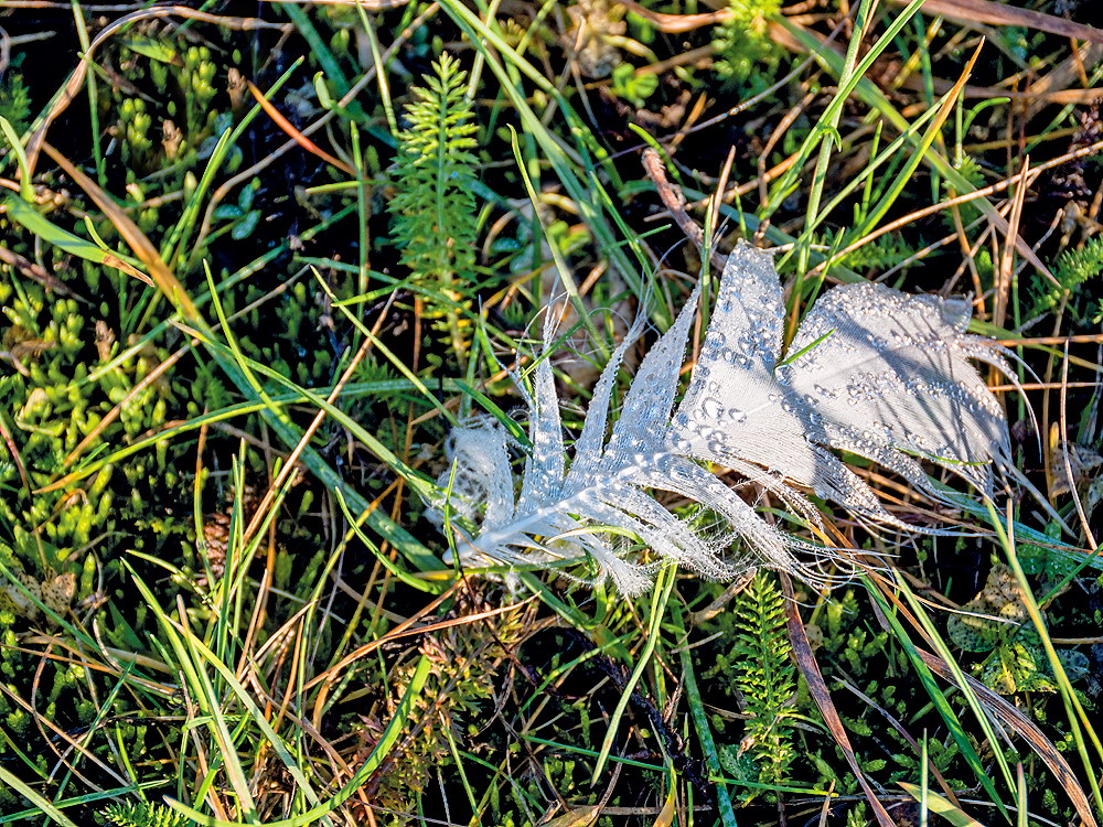 zur &Uuml;bersicht Wassertropfen 5