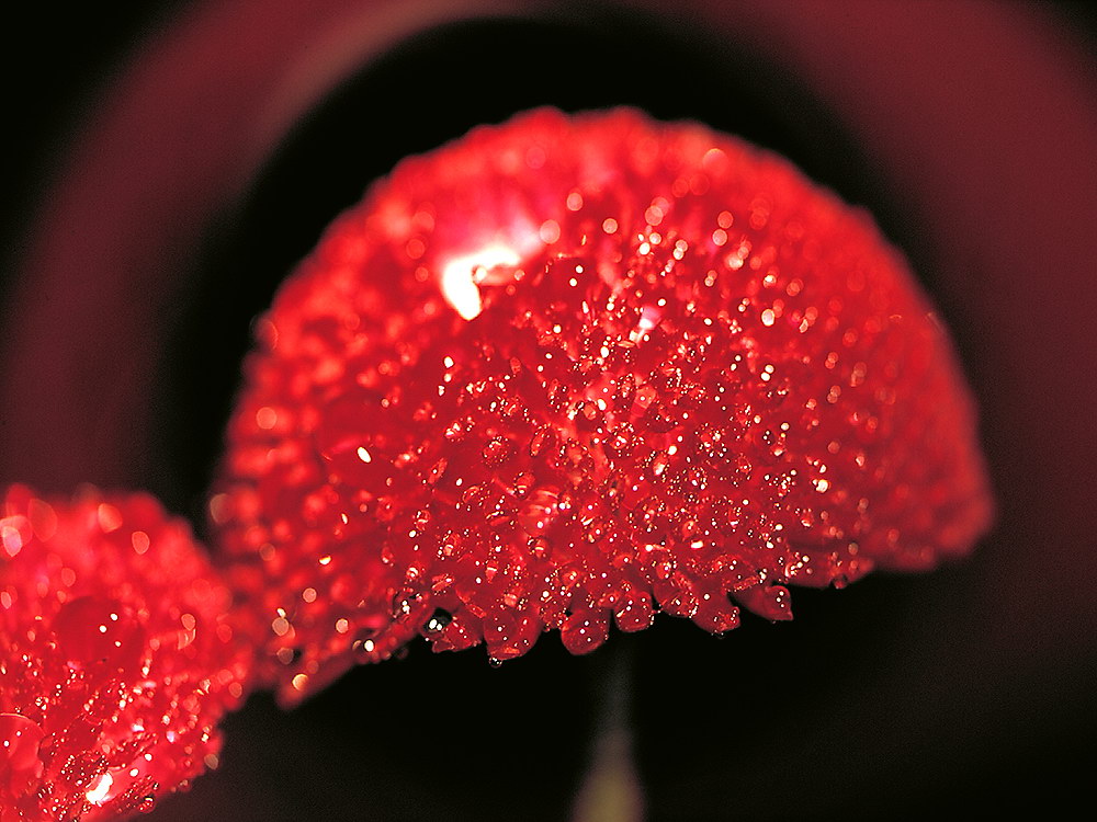 zur &Uuml;bersicht Wassertropfen 6