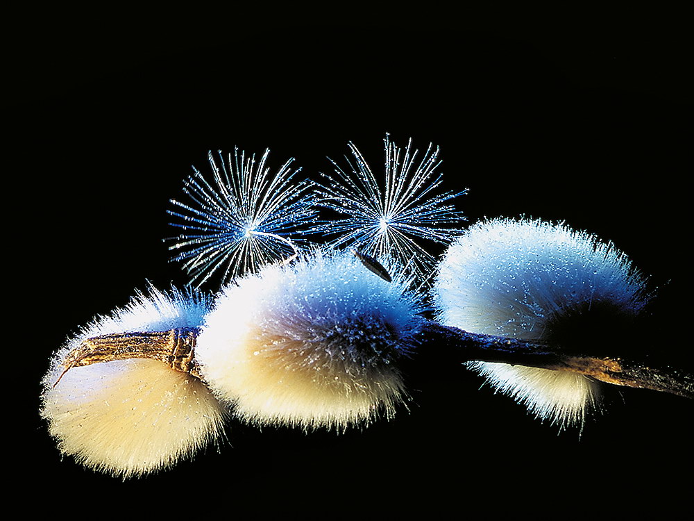 zur &Uuml;bersicht Wassertropfen 6