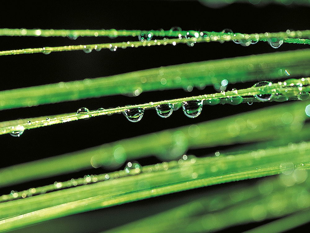 zur &Uuml;bersicht Wassertropfen 7