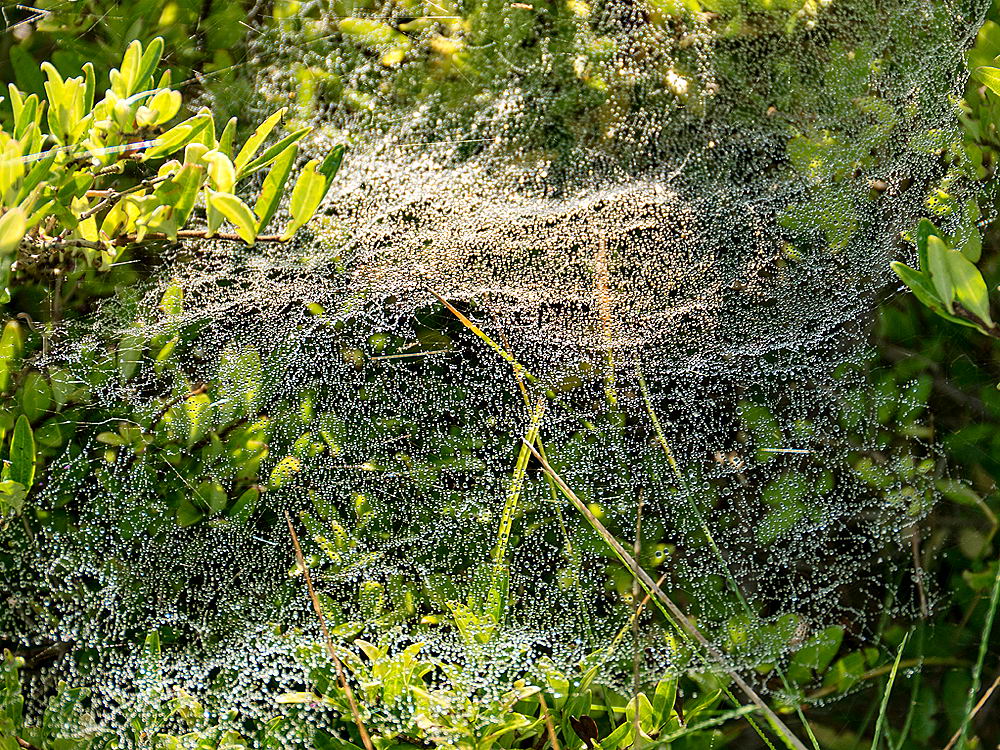 zur &Uuml;bersicht Wassertropfen 7