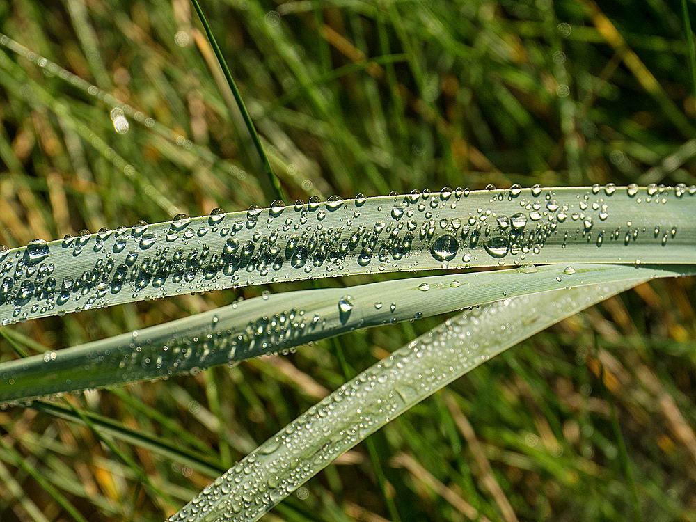 zur &Uuml;bersicht Wassertropfen 7