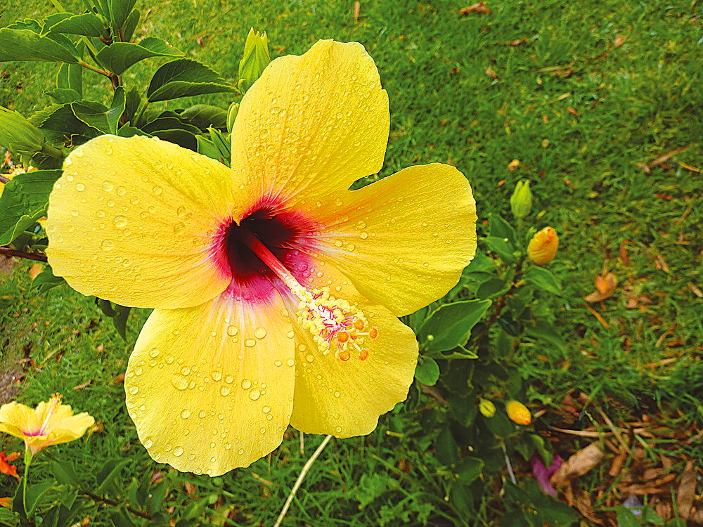 zur &Uuml;bersicht Wassertropfen 8