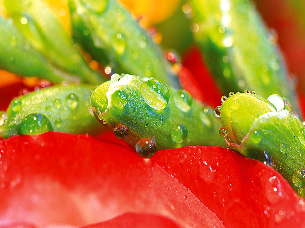 zur &Uuml;bersicht Wassertropfen 8