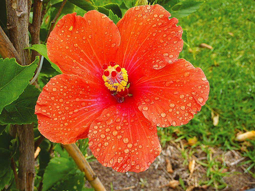 zur &Uuml;bersicht Wassertropfen 8