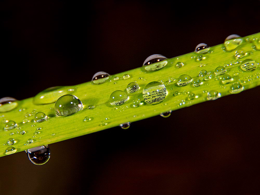 zur &Uuml;bersicht Wassertropfen 8