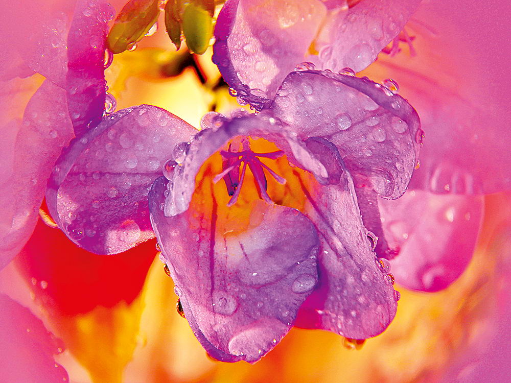 zur &Uuml;bersicht Wassertropfen 8