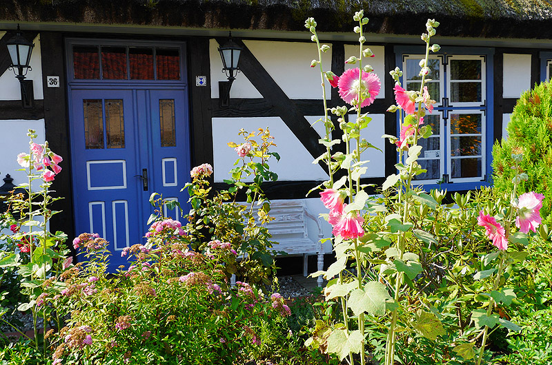 zur &Uuml;bersicht T&uuml;r und Tor 5