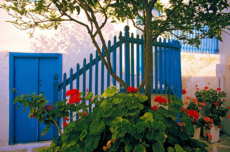 zur &Uuml;bersicht T&uuml;r und Tor 5