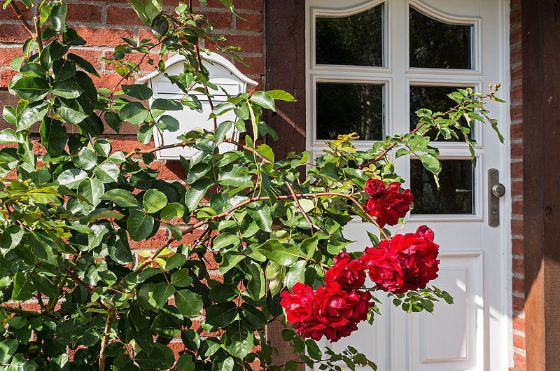 zur &Uuml;bersicht T&uuml;r und Tor 6