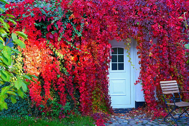 zur &Uuml;bersicht T&uuml;r und Tor 6