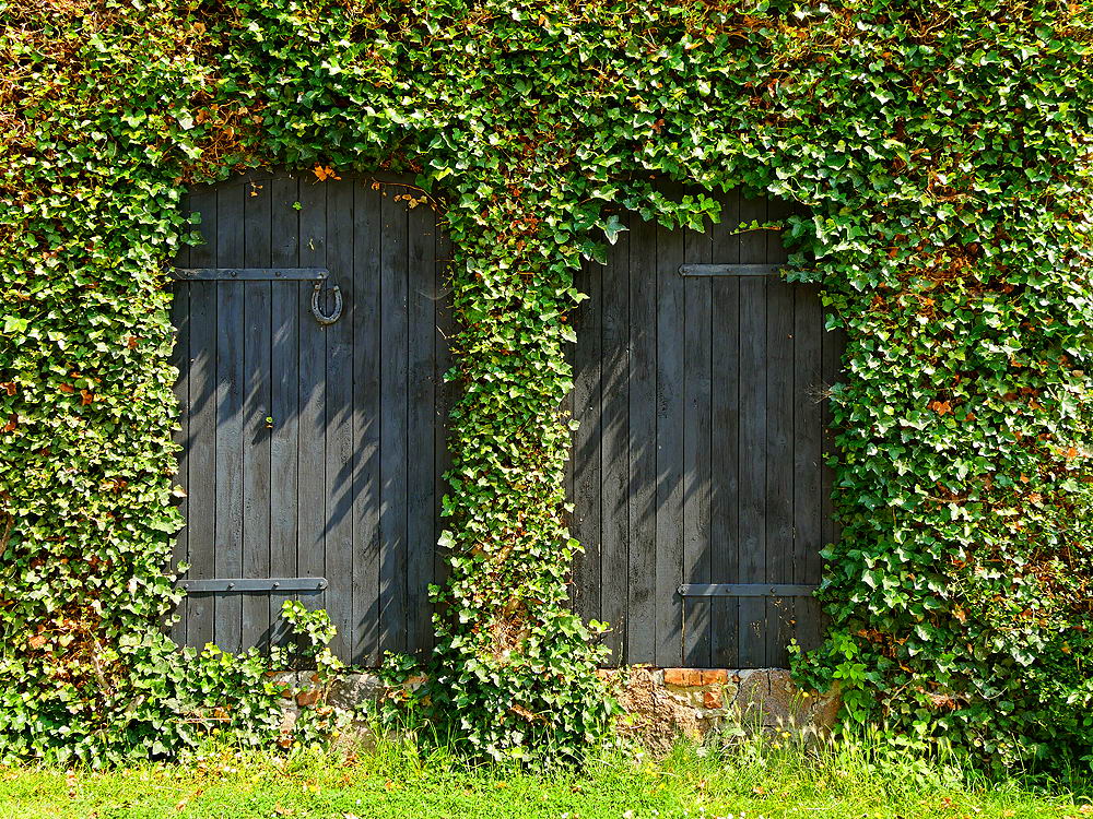 zur &Uuml;bersicht T&uuml;r und Tor 8