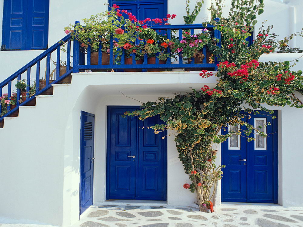 zur &Uuml;bersicht T&uuml;r und Tor 8