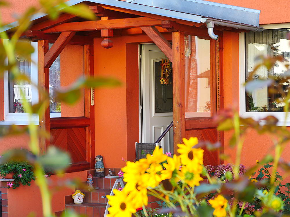 zur &Uuml;bersicht T&uuml;r und Tor 8