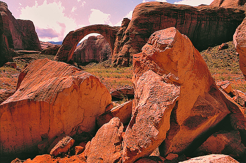 zur &Uuml;bersicht USA Nationalparks III