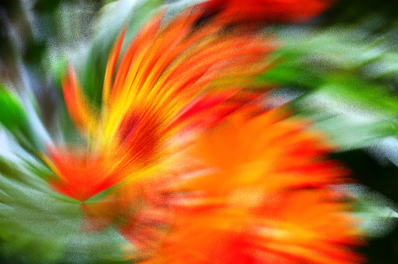 zur &Uuml;bersicht Visionen 3