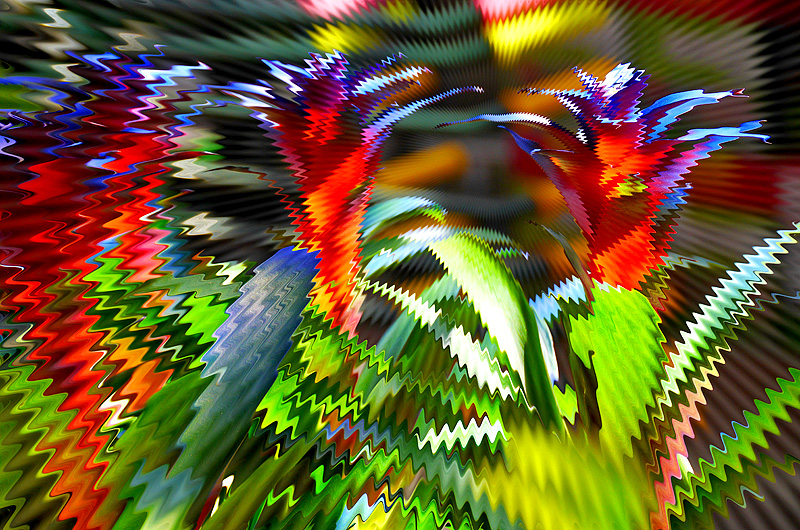 zur &Uuml;bersicht Visionen 4