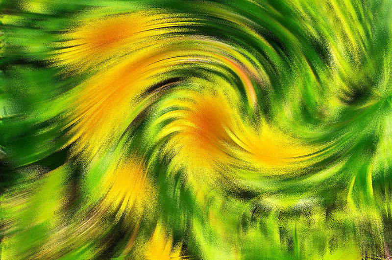 zur &Uuml;bersicht Visionen 5