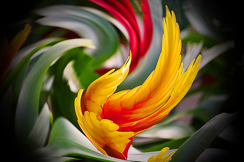 zur &Uuml;bersicht Visionen 5