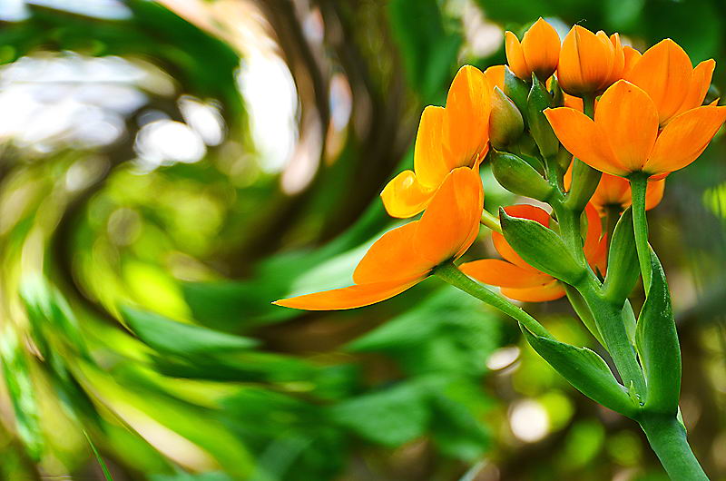 zur &Uuml;bersicht Visionen 5