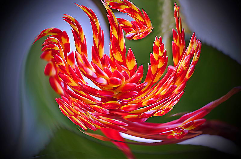 zur &Uuml;bersicht Visionen 5