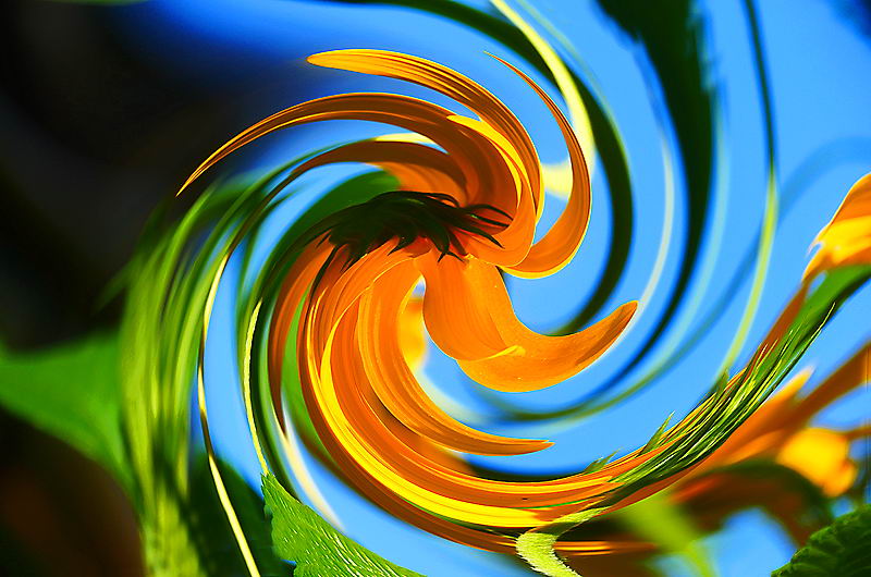 zur &Uuml;bersicht Visionen 5