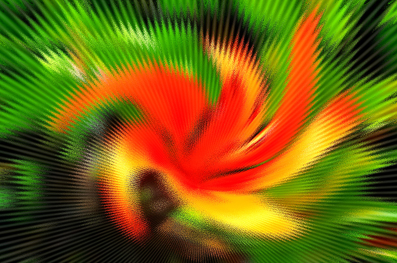 zur &Uuml;bersicht Visionen 5