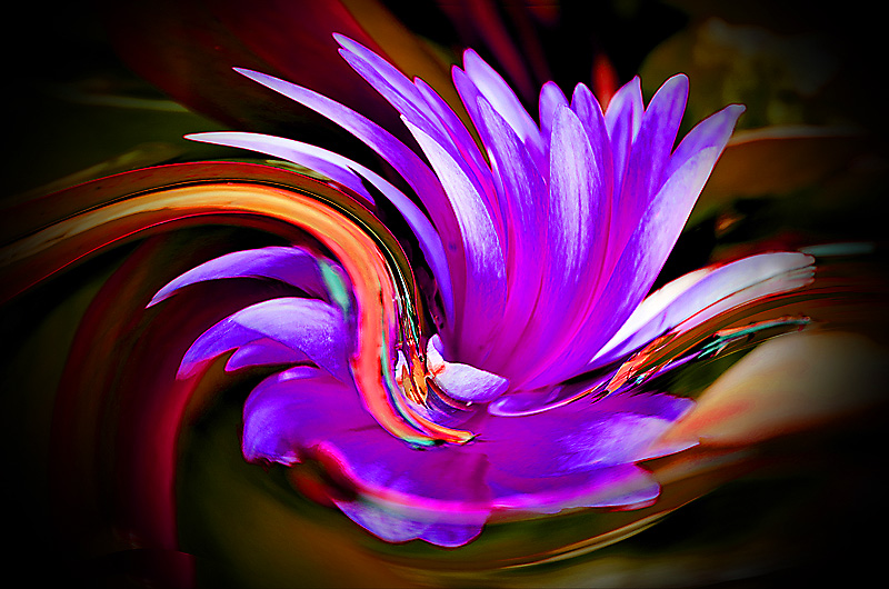 zur &Uuml;bersicht Visionen 5