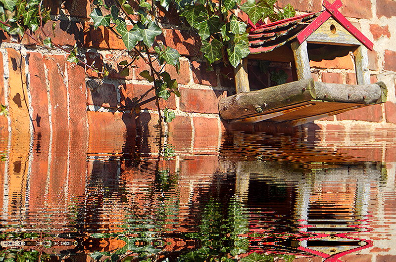 zur &Uuml;bersicht Vogelh&auml;uschen 5