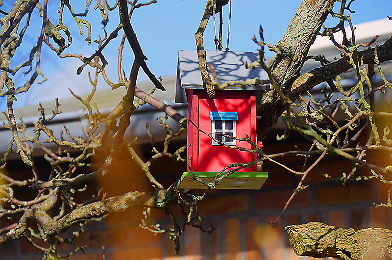 zur &Uuml;bersicht Vogelh&auml;uschen 5