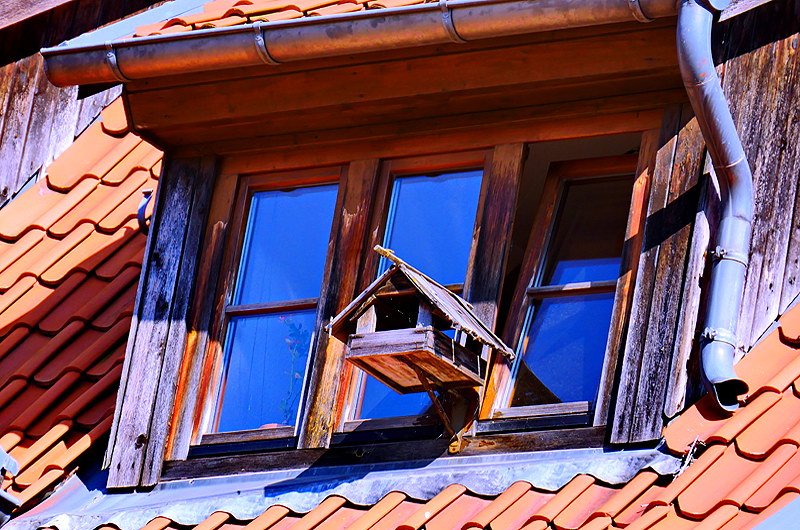 zur &Uuml;bersicht Vogelh&auml;uschen 5