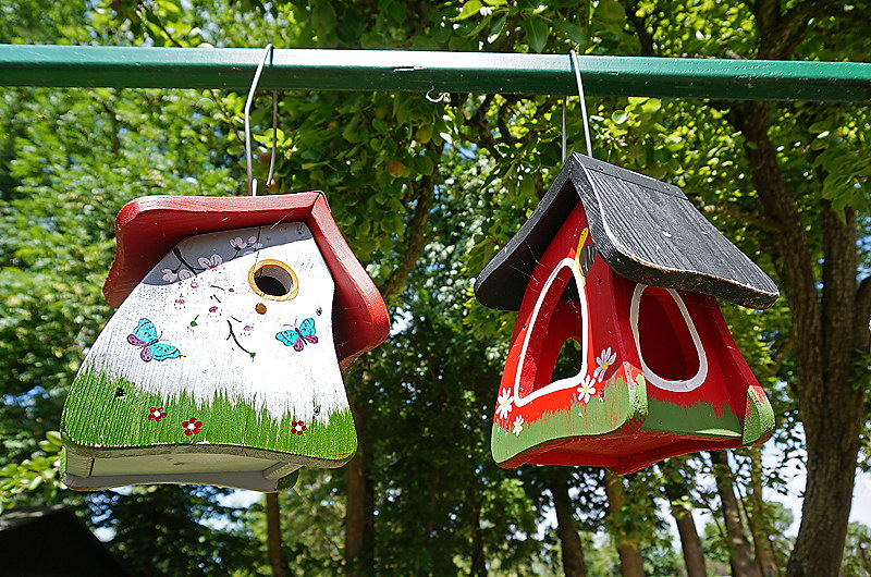 zur &Uuml;bersicht Vogelh&auml;uschen 5