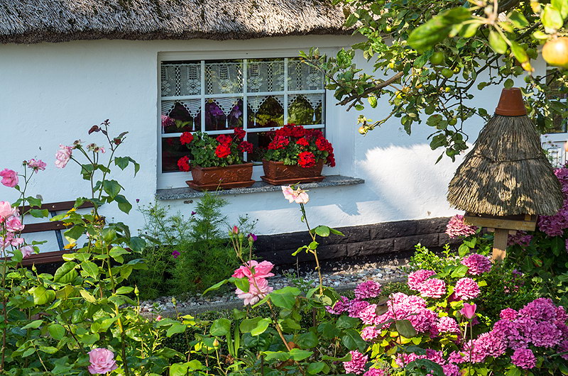 zur &Uuml;bersicht Vogelh&auml;uschen 5