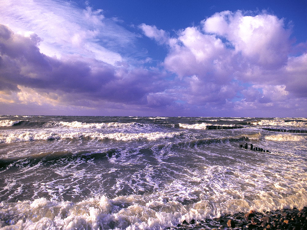 zur &Uuml;bersicht Wasser 12