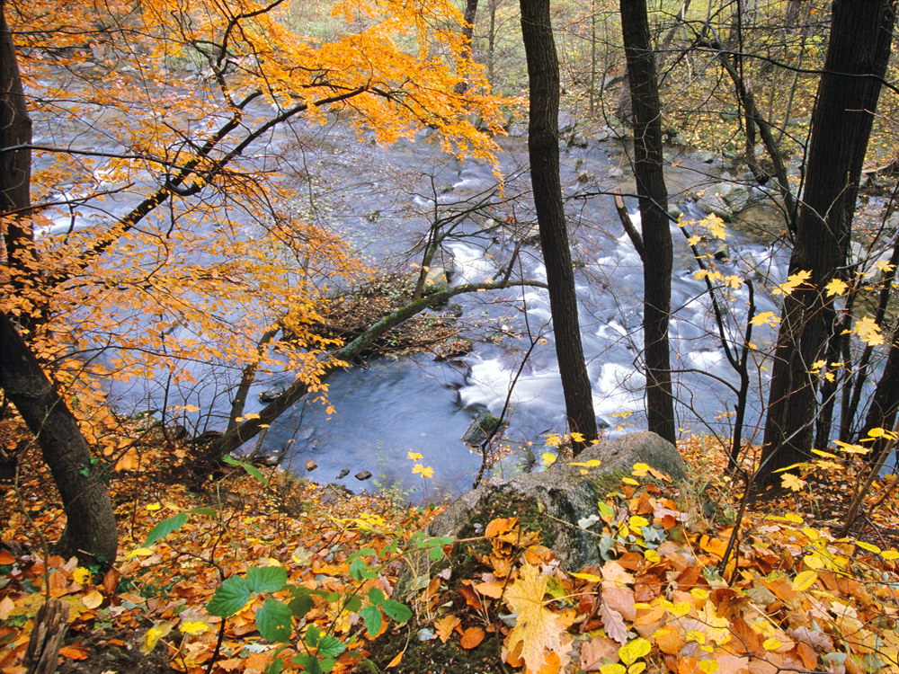 zur &Uuml;bersicht Wasser 13