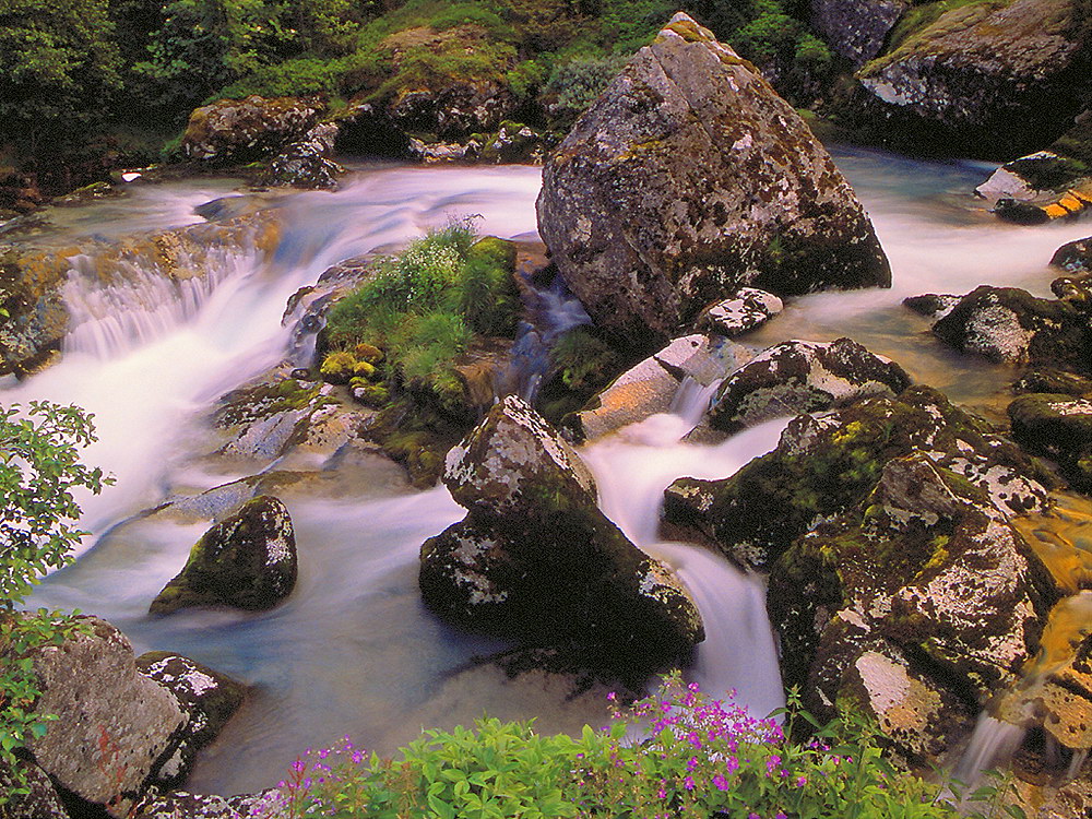 zur &Uuml;bersicht Wasser 13