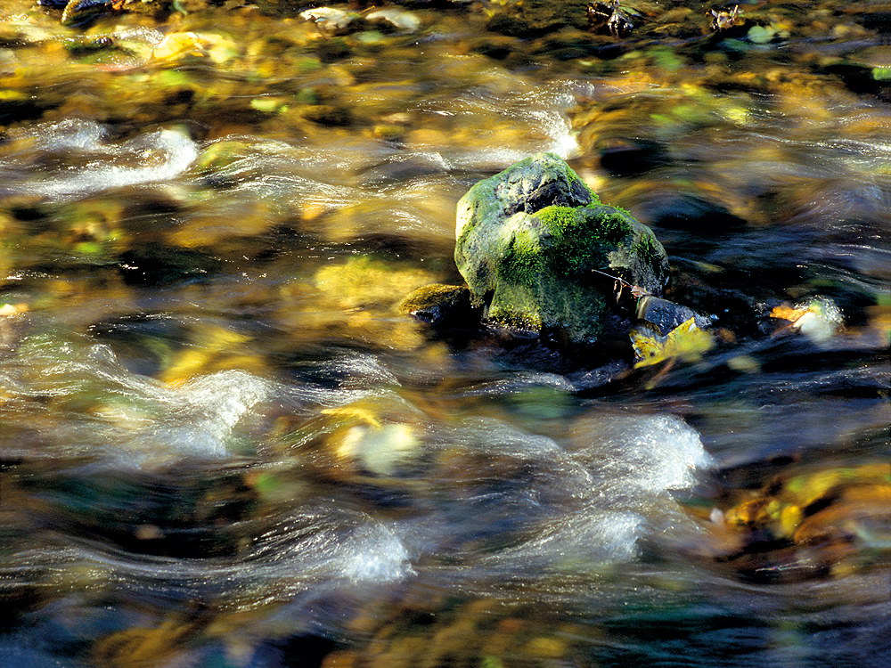 zur &Uuml;bersicht Wasser 13