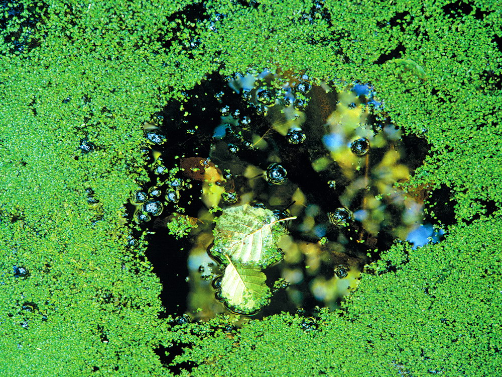 zur &Uuml;bersicht Wasser 13