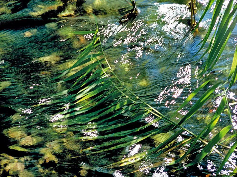 zur &Uuml;bersicht Wasser 13