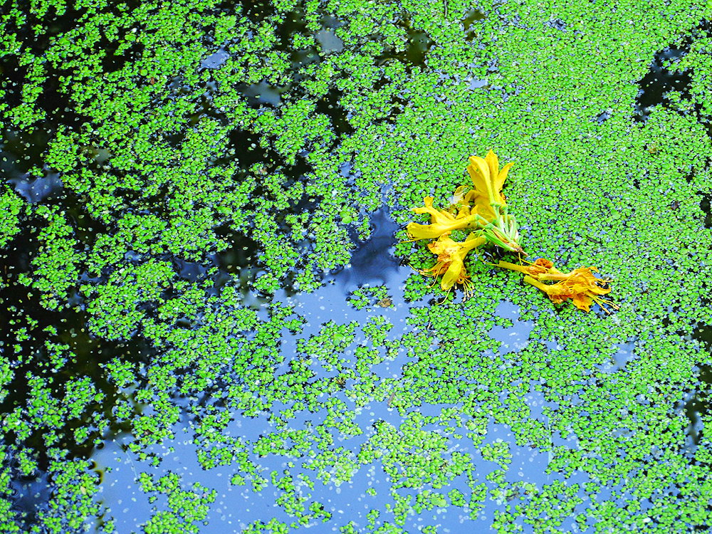 zur &Uuml;bersicht Wasser 13