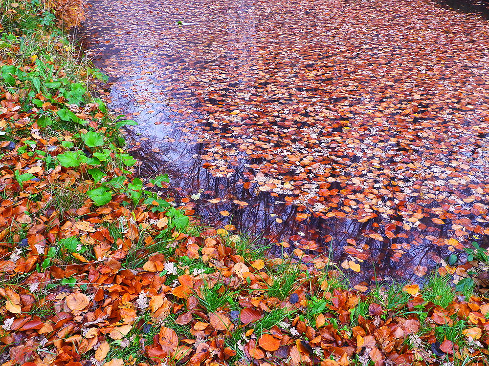 zur &Uuml;bersicht Wasser 13