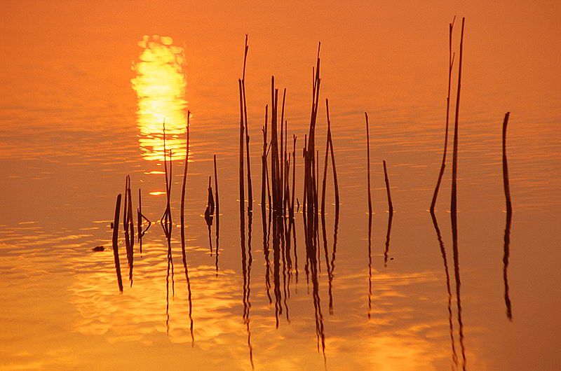 zur &Uuml;bersicht Wasser III