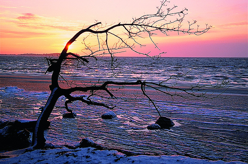 zur &Uuml;bersicht Wasser V