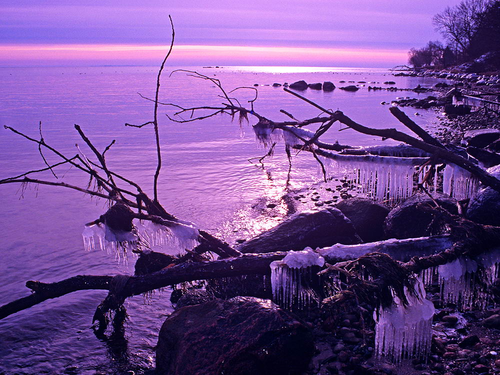 zur &Uuml;bersicht Wasser V