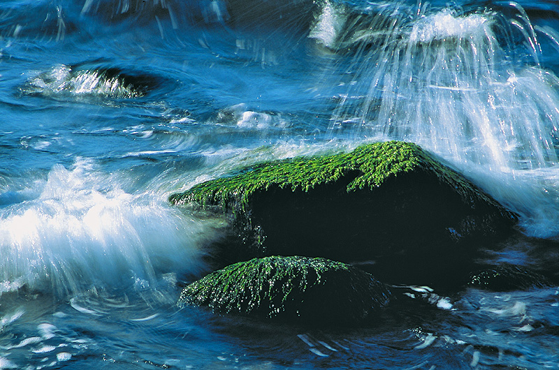 zur &Uuml;bersicht Wasser 8