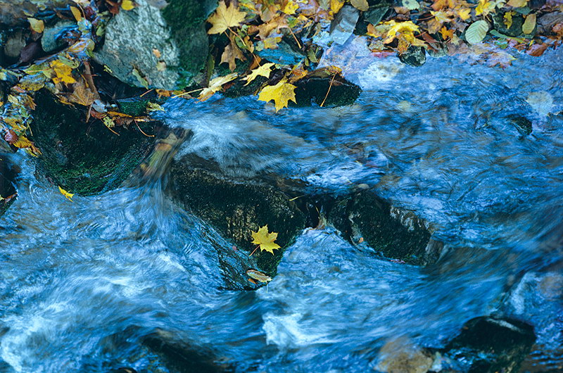 zur &Uuml;bersicht Wasser 8