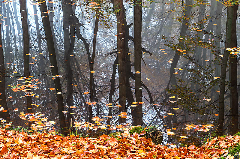 zur &Uuml;bersicht Wasser 8