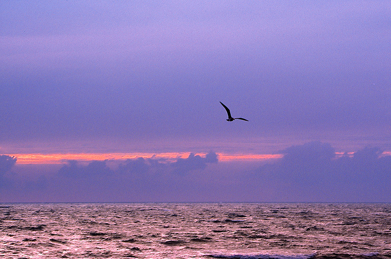 zur &Uuml;bersicht Wasser 9
