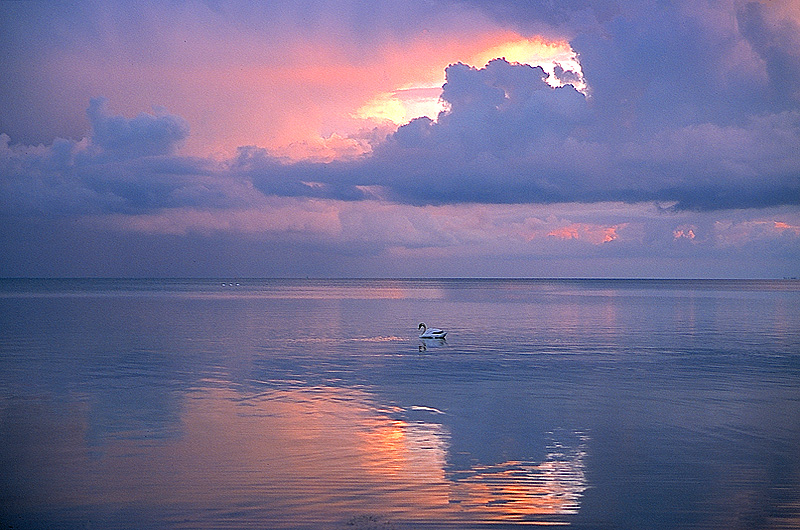 zur &Uuml;bersicht Wasser 9